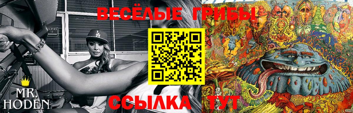 Псилоцибиновые грибы Psilocybine cubensis Электрогорск