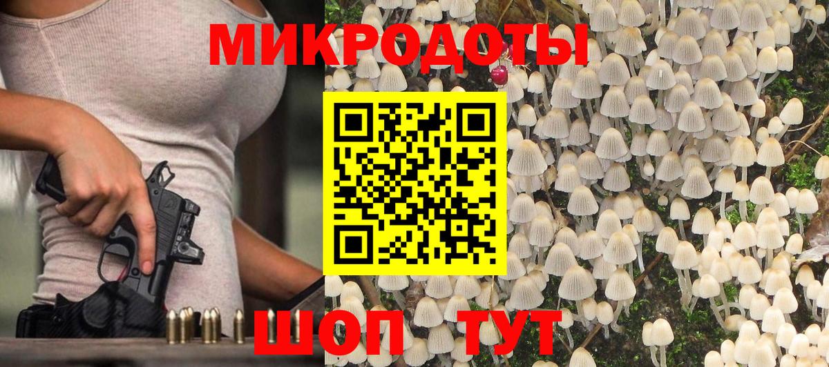 Электрогорск  что такое   Вход с VPN  Псилоцибиновые грибы Magic Shrooms 